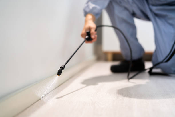 Licensed Termite Control service in Lake Lure, NC - Nex Pest Control
