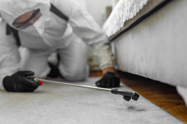 Professional Termite Control technician working in Lake Lure, NC