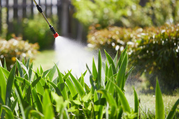 24/7 Emergency Termite Control experts in Lake Lure, NC
