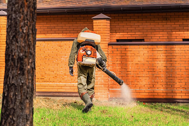 Trusted Rodent Control service in Lake Lure, NC - Nex Pest Control